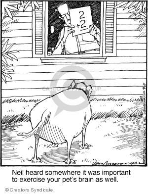 Comic Strip Jerry Van Amerongen  Ballard Street 2007-09-11 math