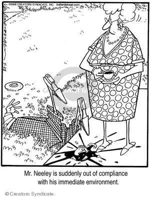 Comic Strip Jerry Van Amerongen  Ballard Street 2008-05-28 environment