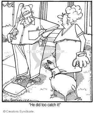Comic Strip Jerry Van Amerongen  Ballard Street 2008-06-13 baseball bat