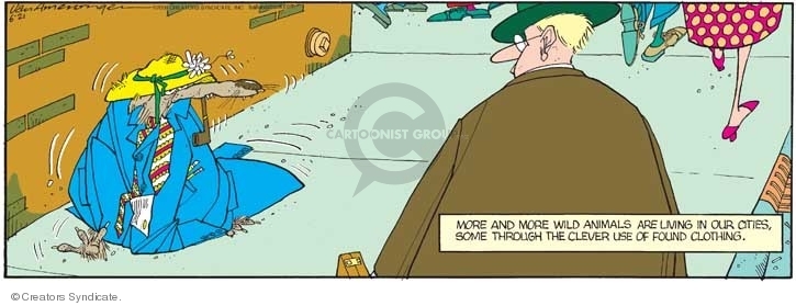 Comic Strip Jerry Van Amerongen  Ballard Street 2009-06-21 habitat