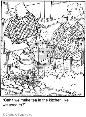 Comic Strip Jerry Van Amerongen  Ballard Street 2009-10-01 outdoors