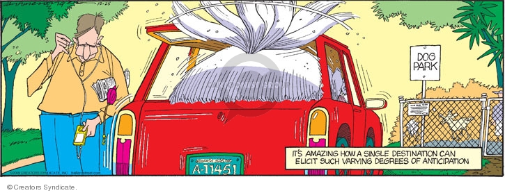 Comic Strip Jerry Van Amerongen  Ballard Street 2009-10-25 behavior