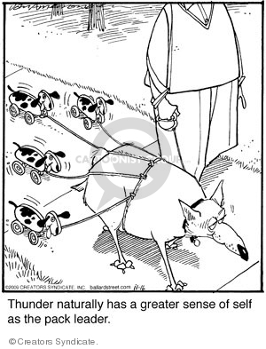 Comic Strip Jerry Van Amerongen  Ballard Street 2009-11-16 behavior