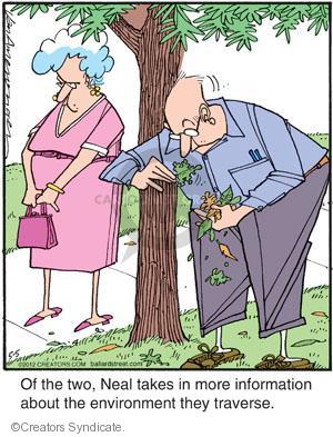 Comic Strip Jerry Van Amerongen  Ballard Street 2012-05-05 environment