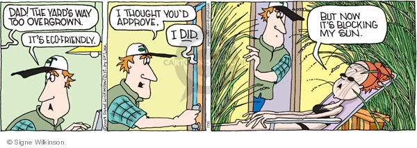 Dad! The yards way too overgrown. Its eco-friendly. I though youd approve. I did. But now its blocking my sun.