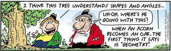 Comic Strip Bob Thaves Tom Thaves  Frank and Ernest 2008-11-03 geometry