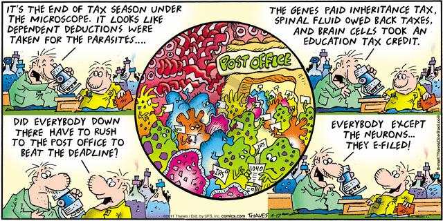 Comic Strip Bob Thaves Tom Thaves  Frank and Ernest 2011-04-17 1040