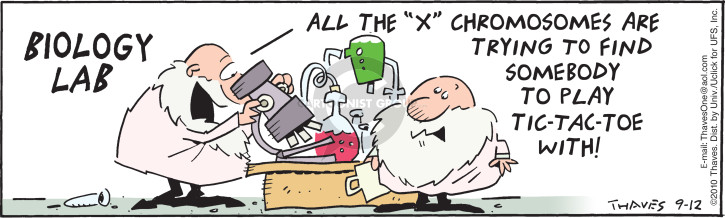 Comic Strip Bob Thaves Tom Thaves  Frank and Ernest 2015-09-12 2010