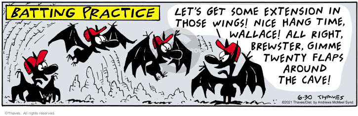 Comic Strip Bob Thaves Tom Thaves  Frank and Ernest 2021-06-30 baseball bat