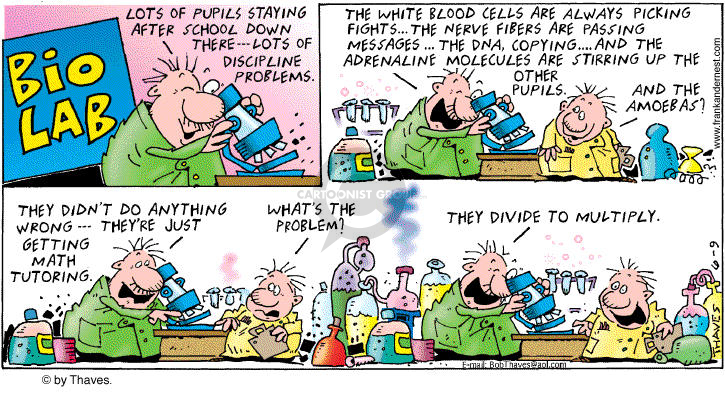 Comic Strip Bob Thaves Tom Thaves  Frank and Ernest 2002-06-09 math