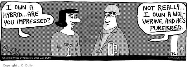 Comic Strip J.C. Duffy  Fusco Brothers 2008-07-02 environment