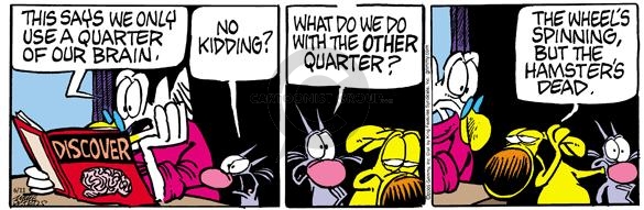 Comic Strip Mike Peters  Mother Goose and Grimm 2005-06-11 math