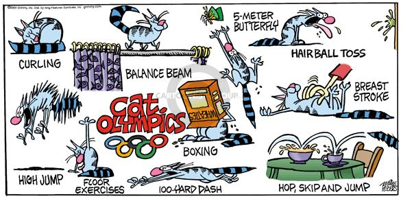 Comic Strip Mike Peters  Mother Goose and Grimm 2004-08-22 2004 Olympics