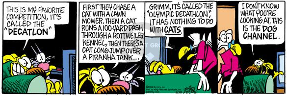 Comic Strip Mike Peters  Mother Goose and Grimm 2004-08-30 2004 Olympics