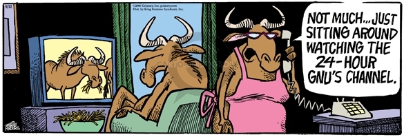 Comic Strip Mike Peters  Mother Goose and Grimm 2006-05-12 24-hour news