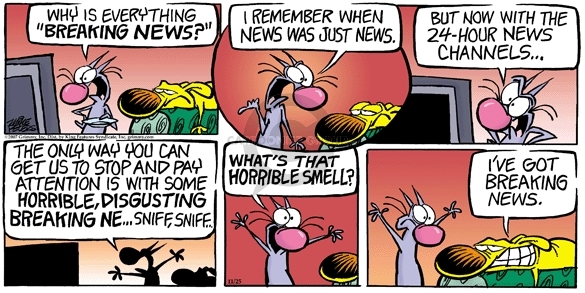 Comic Strip Mike Peters  Mother Goose and Grimm 2007-11-25 24-hour news