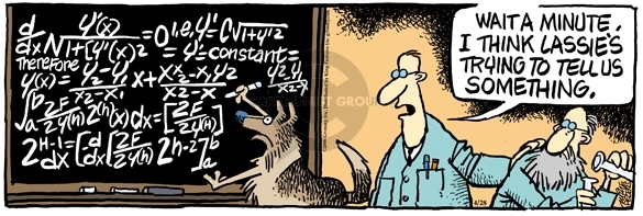 Comic Strip Mike Peters  Mother Goose and Grimm 2008-04-28 math