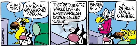 Comic Strip Mike Peters  Mother Goose and Grimm 2009-10-02 24-hour news