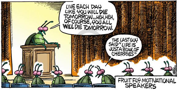 Live each day like you will die tomorrow � Heh, heh, of course, you all will die tomorrow. The last guy said "life is just a bowl of cherries." Fruit fly motivational speakers.