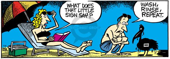 Comic Strip Mike Peters  Mother Goose and Grimm 2010-07-20 environment