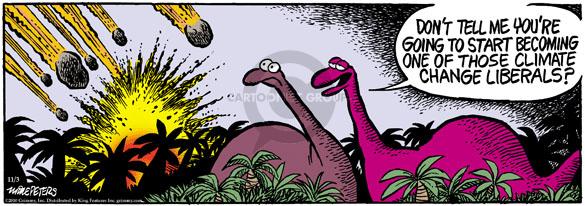 Comic Strip Mike Peters  Mother Goose and Grimm 2010-11-03 environment