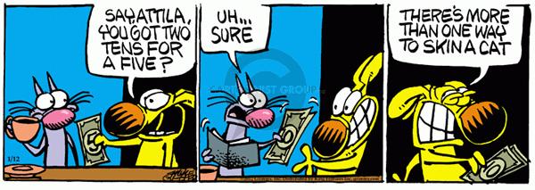 Comic Strip Mike Peters  Mother Goose and Grimm 2012-01-12 math