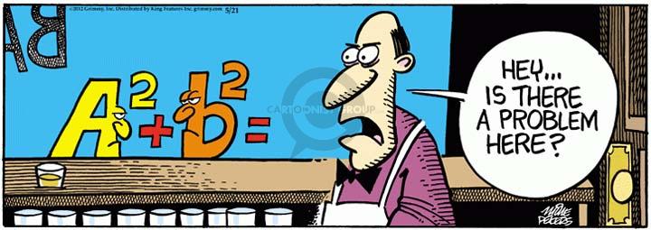 Comic Strip Mike Peters  Mother Goose and Grimm 2012-05-21 algebra