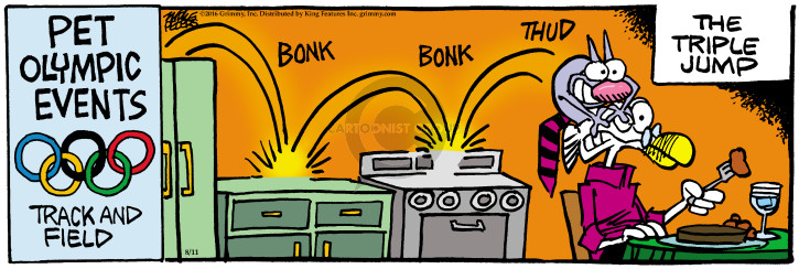 Comic Strip Mike Peters  Mother Goose and Grimm 2016-08-11 2016 Olympics