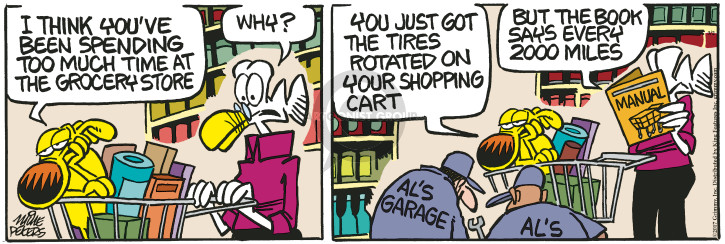 Comic Strip Mike Peters  Mother Goose and Grimm 2017-03-02 2000