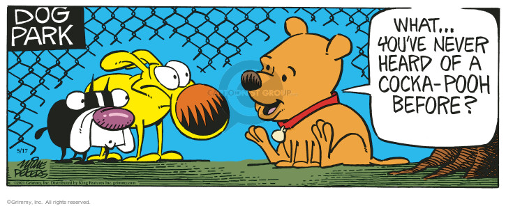 Dog Park. What … Youve never heard of a Cocka-Pooh before?
