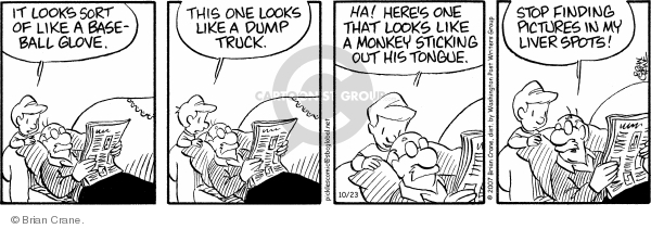 Comic Strip Brian Crane  Pickles 2007-10-23 baseball mitt