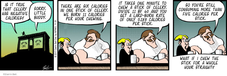 Comic Strip Darrin Bell  Rudy Park 2017-11-30 60 minutes