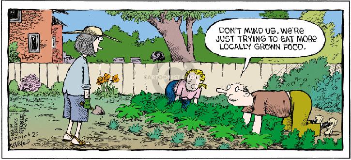 Comic Strip Dave Coverly  Speed Bump 2010-06-27 environment