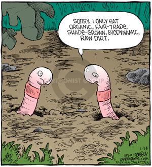 Comic Strip Dave Coverly  Speed Bump 2011-01-28 environment