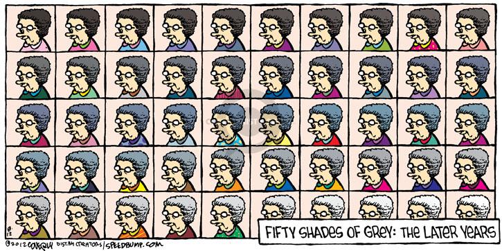 Comic Strip Dave Coverly  Speed Bump 2012-08-12 50 Shades of Grey