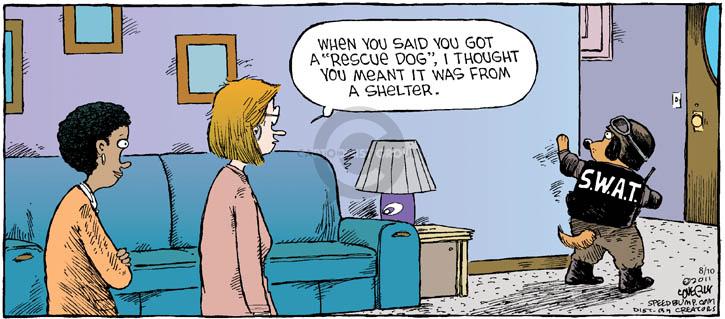 Comic Strip Dave Coverly  Speed Bump 2014-08-10 2011