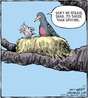 Dont be afraid, dear.  Its safer than driving. (Originally published on 2007-11-15).
