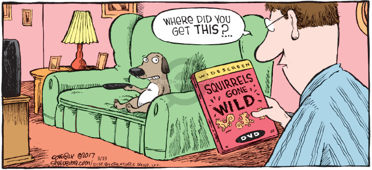 Comic Strip Dave Coverly  Speed Bump 2017-03-19 2009