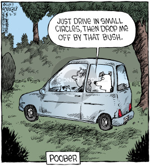 Just drive in small circles, then drop me off by that bush. Poober.
