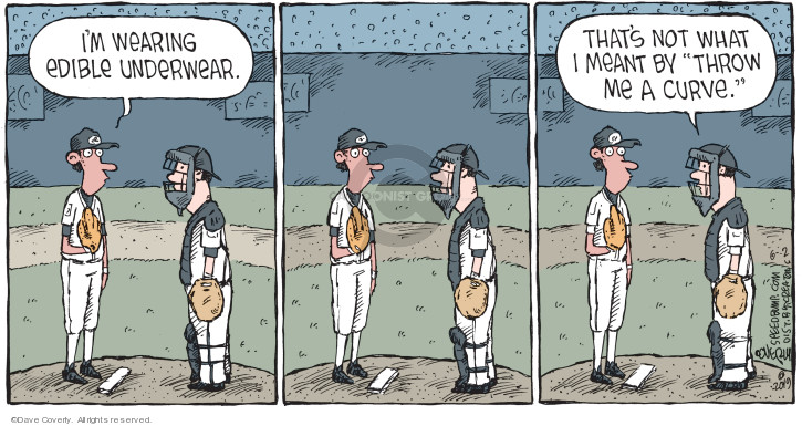 Comic Strip Dave Coverly  Speed Bump 2019-06-02 throw baseball