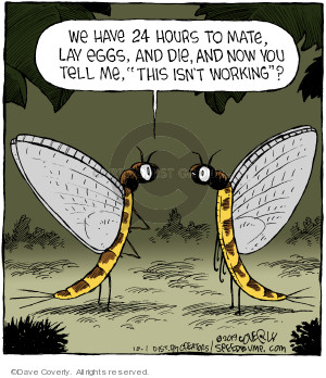 Comic Strip Dave Coverly  Speed Bump 2019-10-01 24 hours