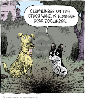 Cleanliness, on the other hand, is nowhere near dogliness.
