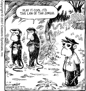 Comic Strip Dave Coverly  Speed Bump 2007-07-16 disposition