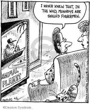 Comic Strip John Deering  Strange Brew 2009-06-06 habitat