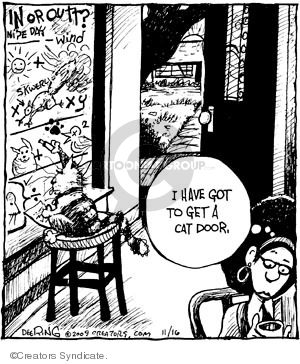 In or outt?  Nite day. Wind. Skwerl. X. xy. 2. I have got to get a cat door.