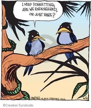 Comic Strip John Deering  Strange Brew 2012-06-04 environment