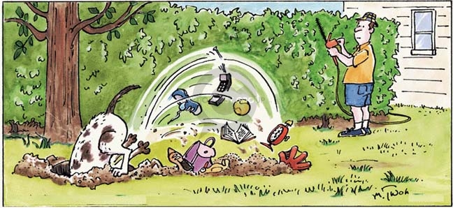 Comic Strip Mike Twohy  That's Life 2007-11-25 baseball